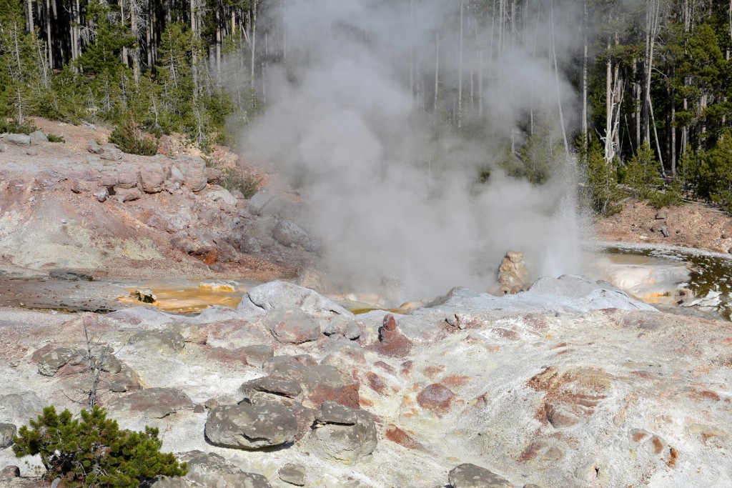 Foto: Norris Geyser Basin - Yellowstone NP (Wyoming), Estados Unidos