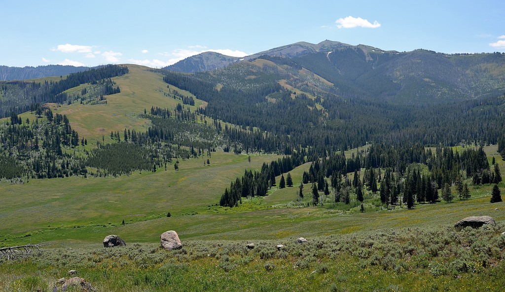 Foto: Paisajes Yellowstone NP - Yellowstone NP (Wyoming), Estados Unidos