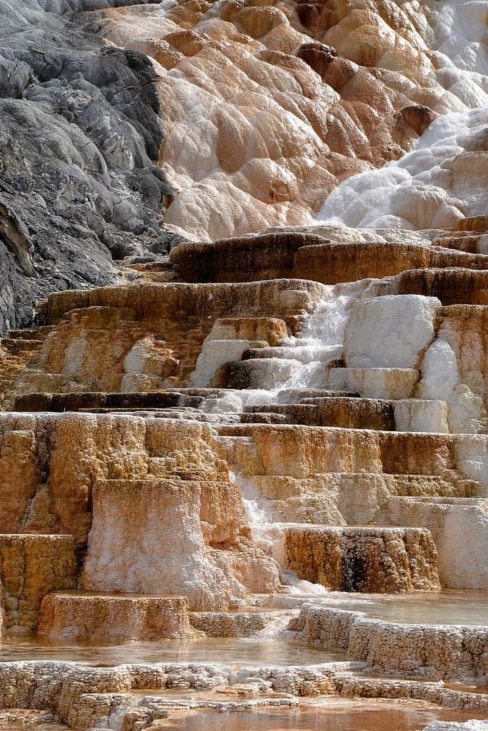 Foto: Mammoth Hot Springs - Yellowstone NP (Wyoming), Estados Unidos
