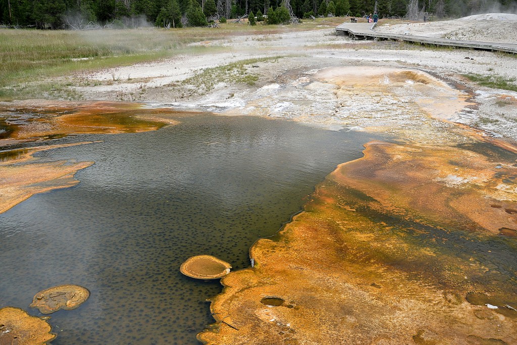Foto: Old Faithful geyser - Yellowstone NP (Wyoming), Estados Unidos