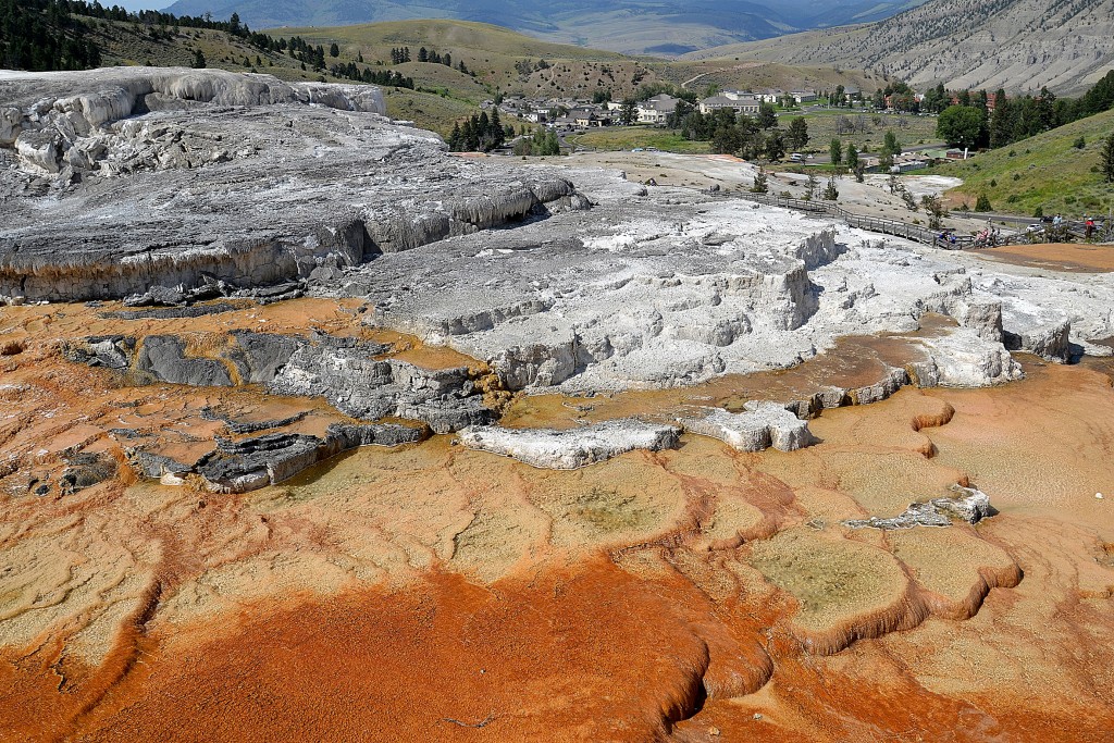 Foto: Mammoth Hot Springs - Yellowstone NP (Wyoming), Estados Unidos
