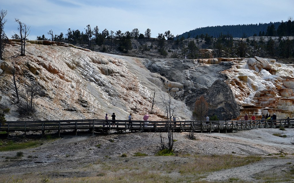 Foto: Mammoth Hot Springs - Yellowstone NP (Wyoming), Estados Unidos