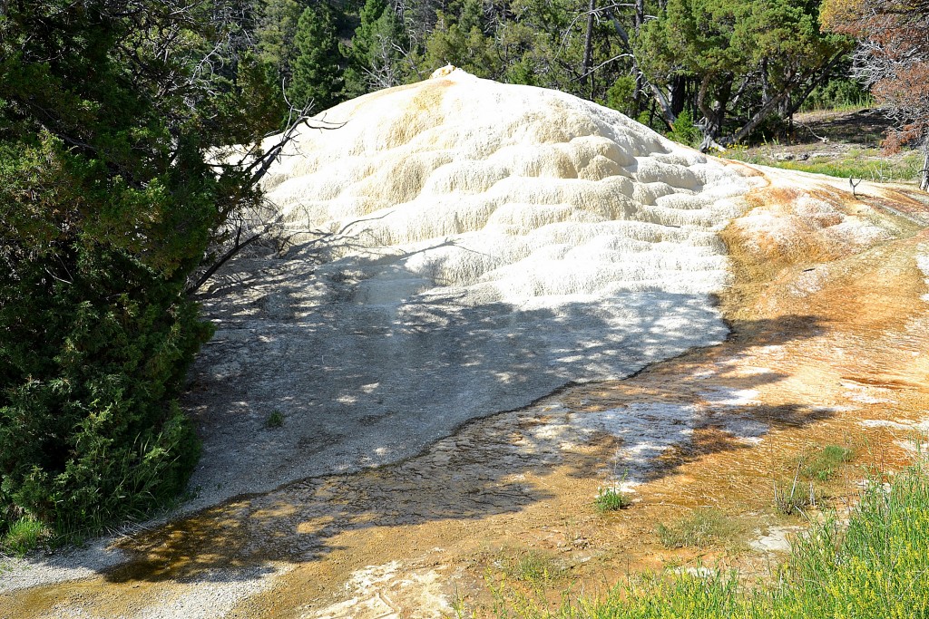 Foto: Highland Spring - Yellowstone NP (Wyoming), Estados Unidos