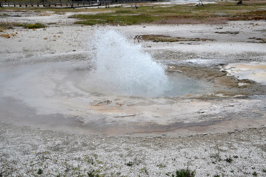 Foto: Foutain Group - Yellowstone NP (Wyoming), Estados Unidos