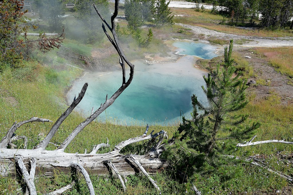 Foto: West Thumb Geyser Basin - Yellowstone NP (Wyoming), Estados Unidos