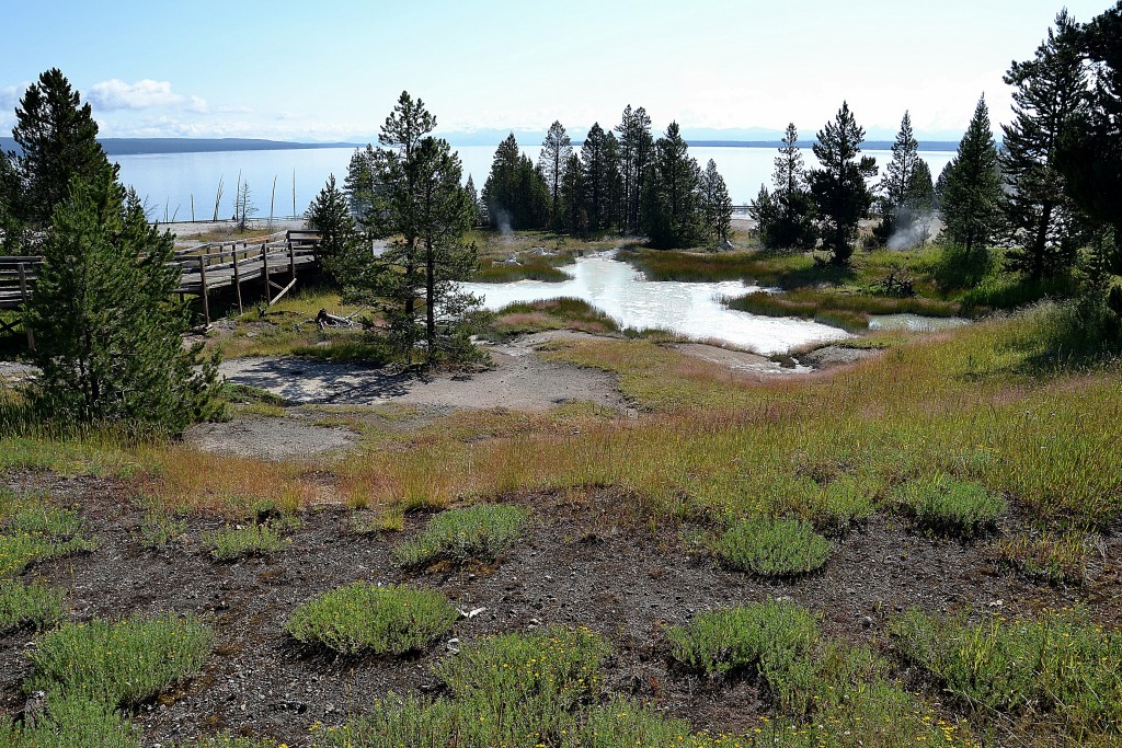 Foto: West Thumb Geyser Basin - Yellowstone NP (Wyoming), Estados Unidos