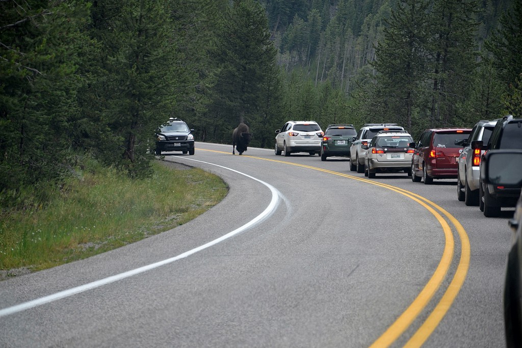 Foto: Western entrance of Yellowstone NP - Yellowstone NP (Montana), Estados Unidos