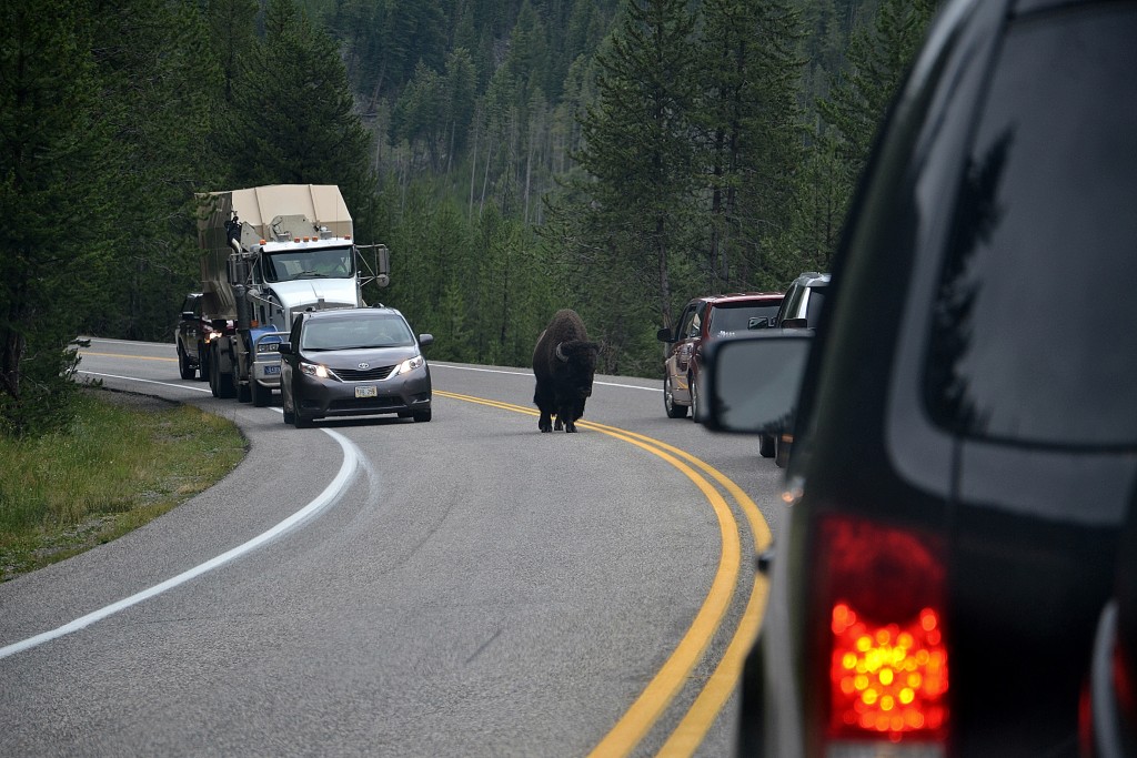 Foto: Western entrance of Yellowstone NP - Yellowstone NP (Montana), Estados Unidos