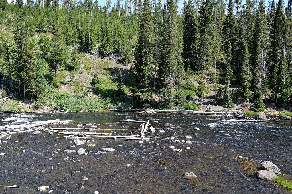 Foto: Lewis Falls - Yellowstone NP (Wyoming), Estados Unidos