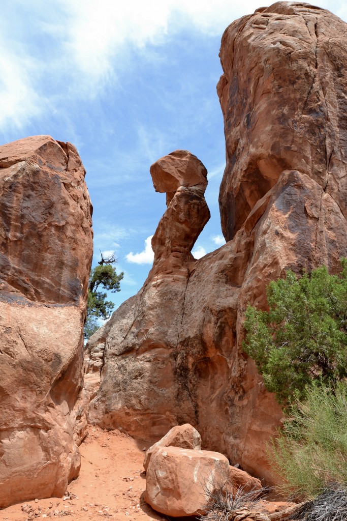 Foto: Devils Garden Trail - Arches NP (Utah), Estados Unidos