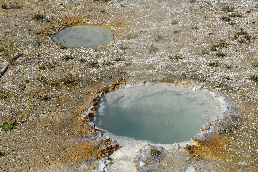 Foto: West Thumb Geyser Basin - Yellowstone NP (Wyoming), Estados Unidos
