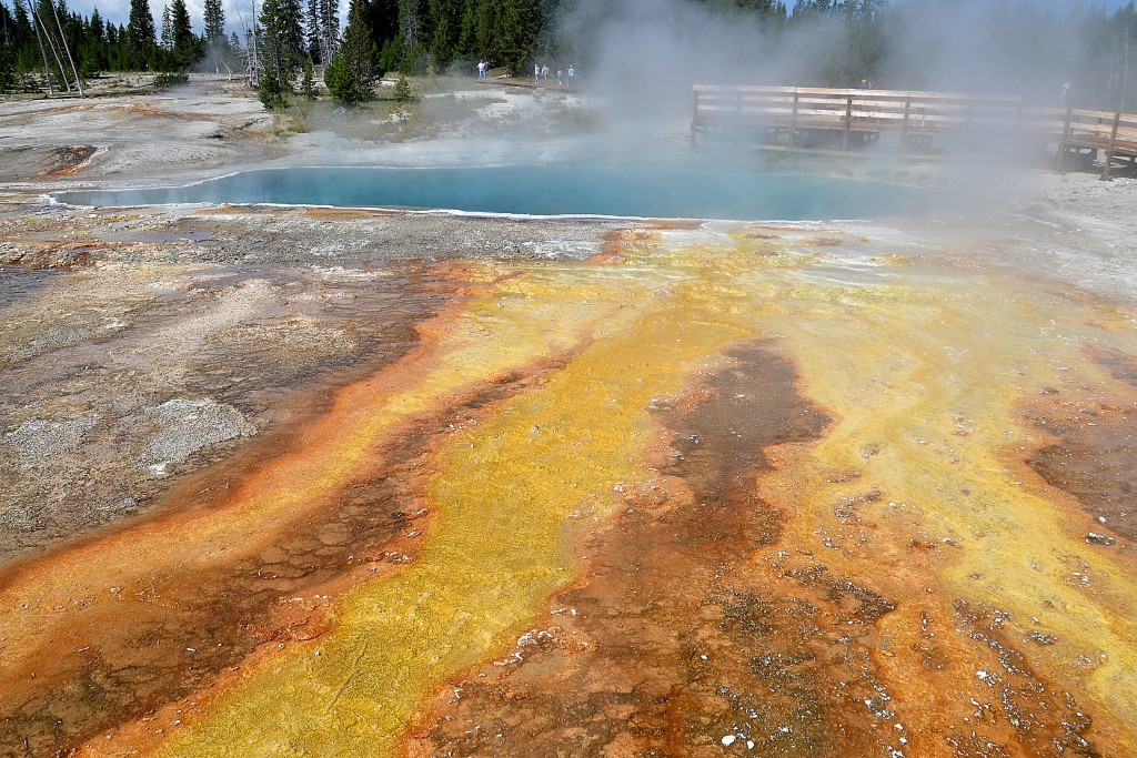 Foto: West Thumb Geyser Basin - Yellowstone NP (Wyoming), Estados Unidos