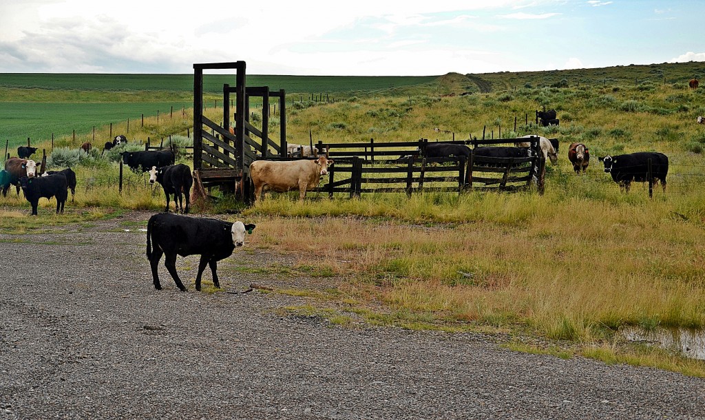 Foto: Idaho - Soda Springs (Idaho), Estados Unidos