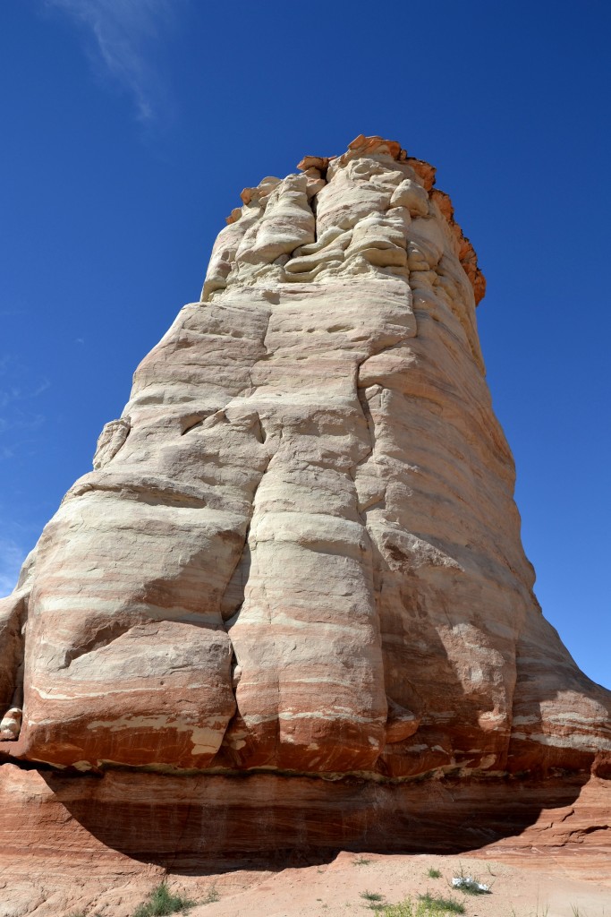 Foto: Elephants Feet Rest Area - Tonalea (Arizona), Estados Unidos