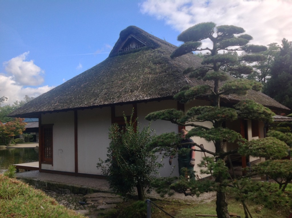 Foto de Hamburgo (Hamburg City), Alemania