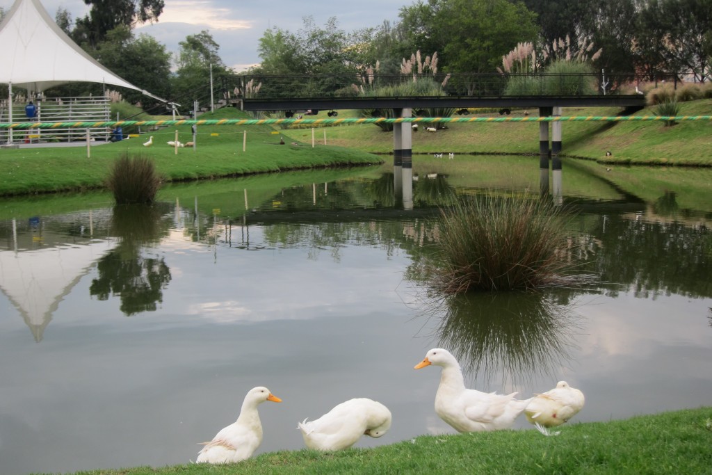 Foto de Chia (Bogota D.C.), Colombia