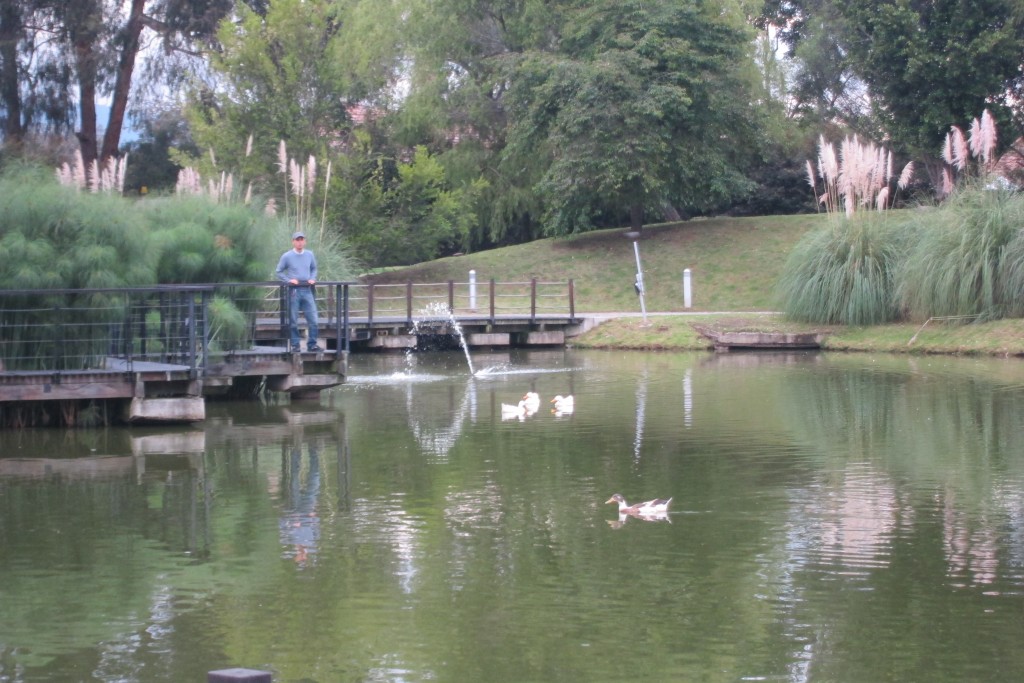Foto de Chia (Bogota D.C.), Colombia