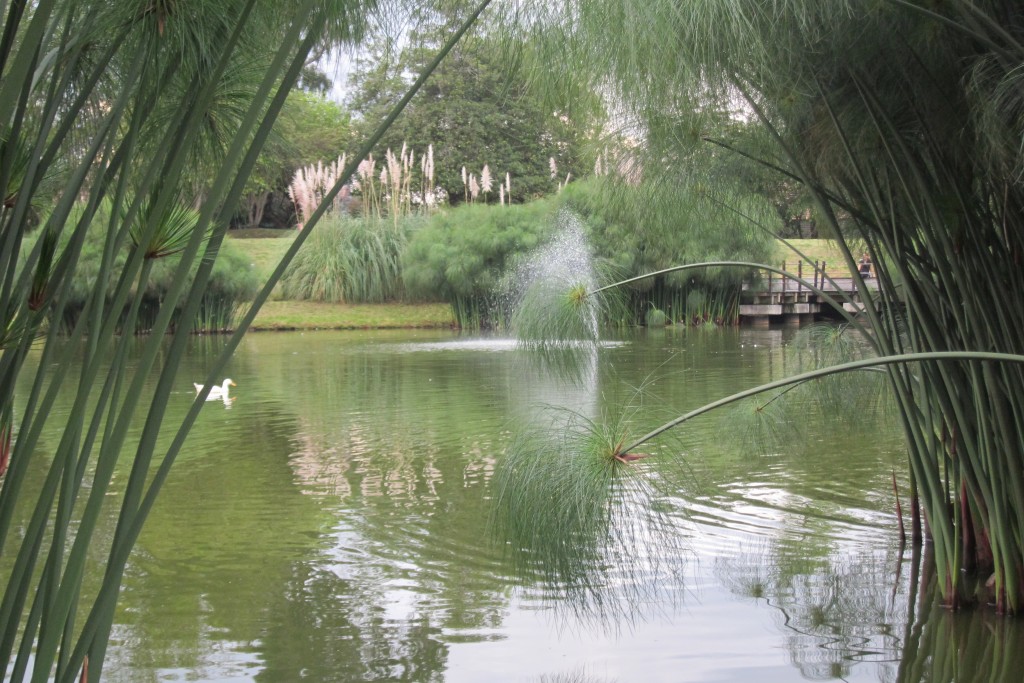 Foto de Chia (Bogota D.C.), Colombia