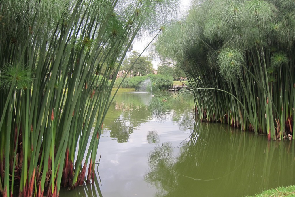 Foto de Chia (Bogota D.C.), Colombia