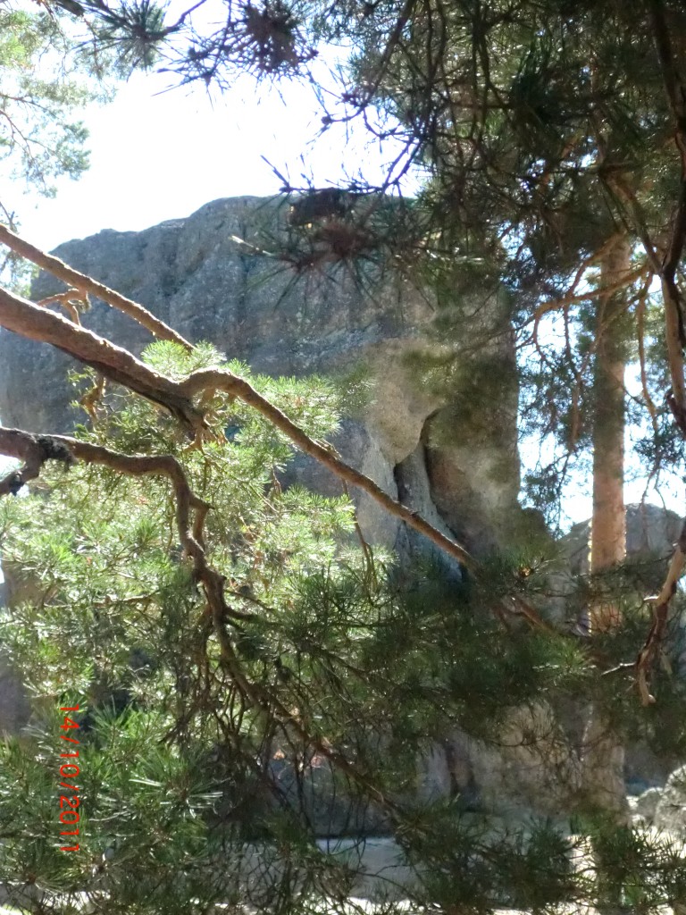 Foto de Castroviejo (Soria), España