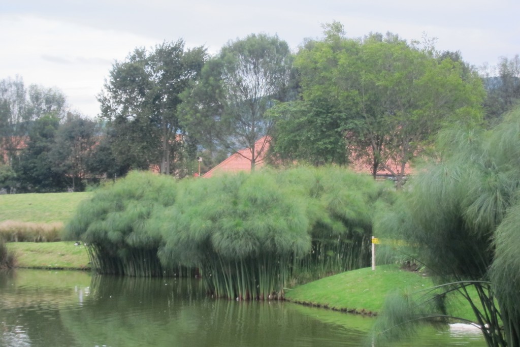 Foto de Chia (Bogota D.C.), Colombia