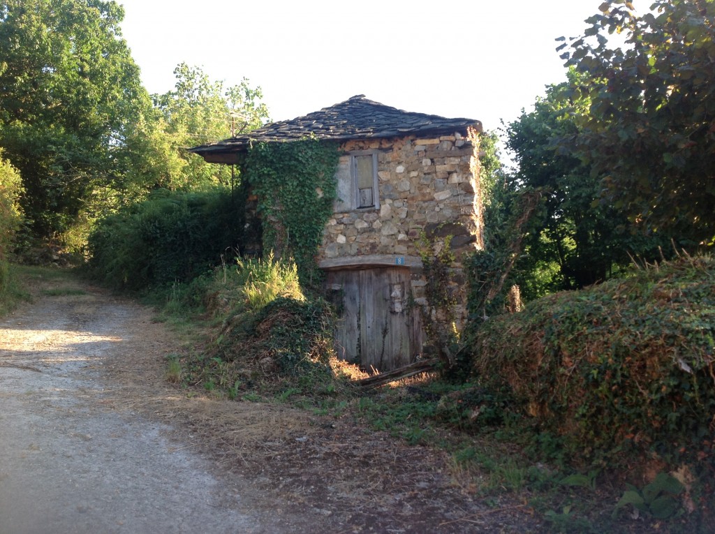 Foto de Os Ancares, Robledo (A Coruña), España