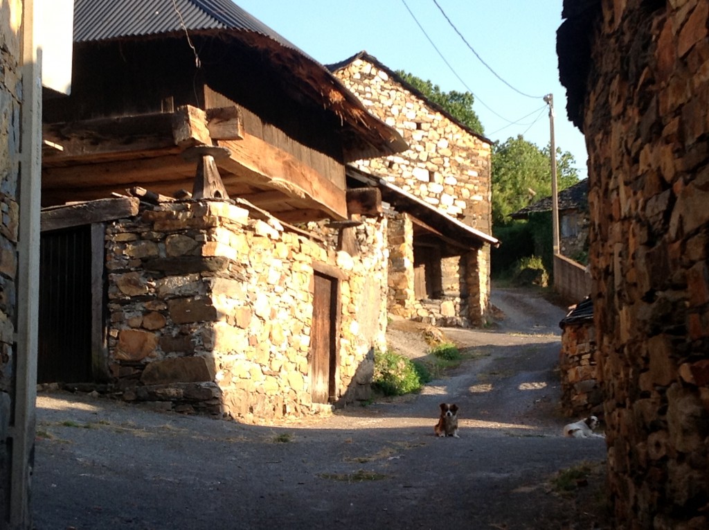 Foto de Os Ancares, Robledo (A Coruña), España