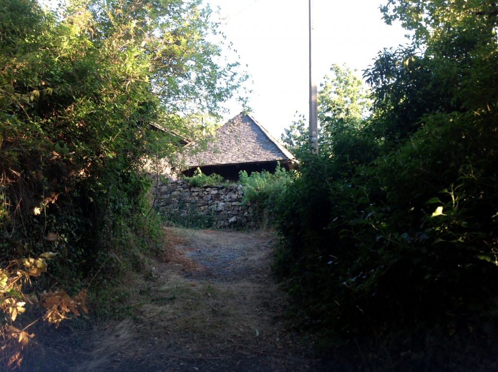 Foto de Os Ancares, Robledo (A Coruña), España