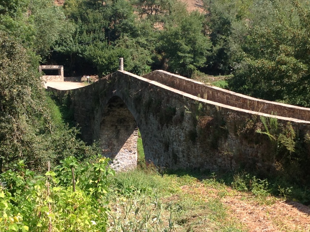 Foto de Os Ancares (A Coruña), España
