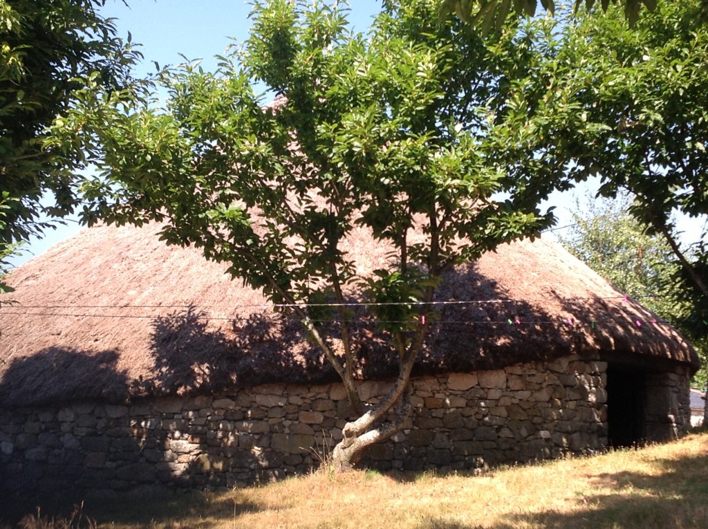 Foto de Os Ancares, Piornedo (A Coruña), España