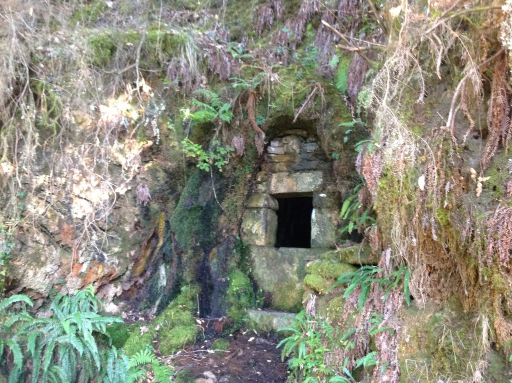 Foto de Os Ancares, Robledo (A Coruña), España