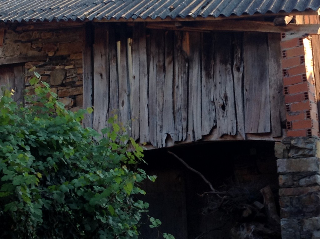 Foto de Os Ancares, Robledo (A Coruña), España