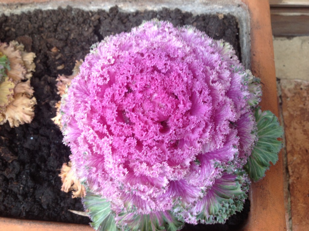 Foto de Monteriggnione, Italia