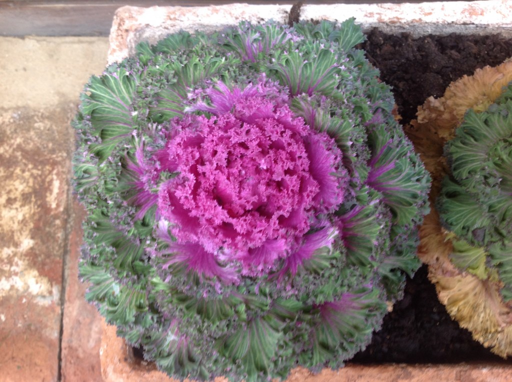 Foto de Monteriggnione, Italia