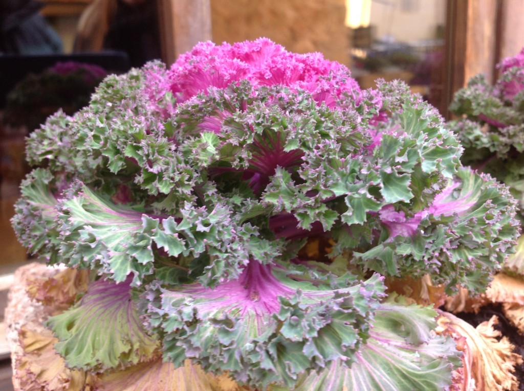 Foto de Monteriggnione, Italia