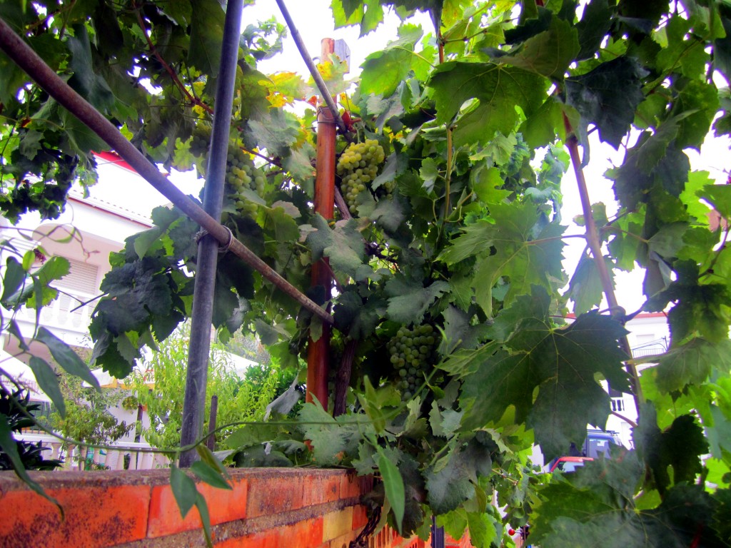 Foto de Sanlucar de Guadiana (Huelva), España