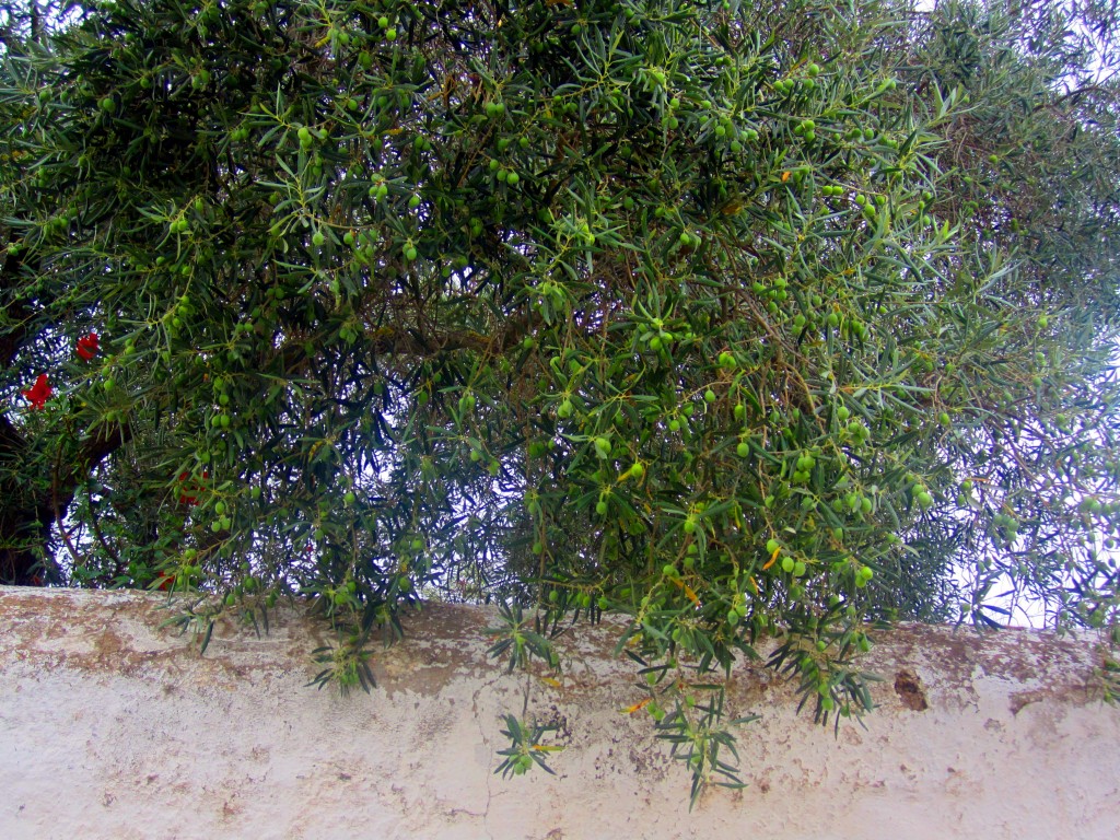 Foto de Sanlucar de Guadiana (Huelva), España