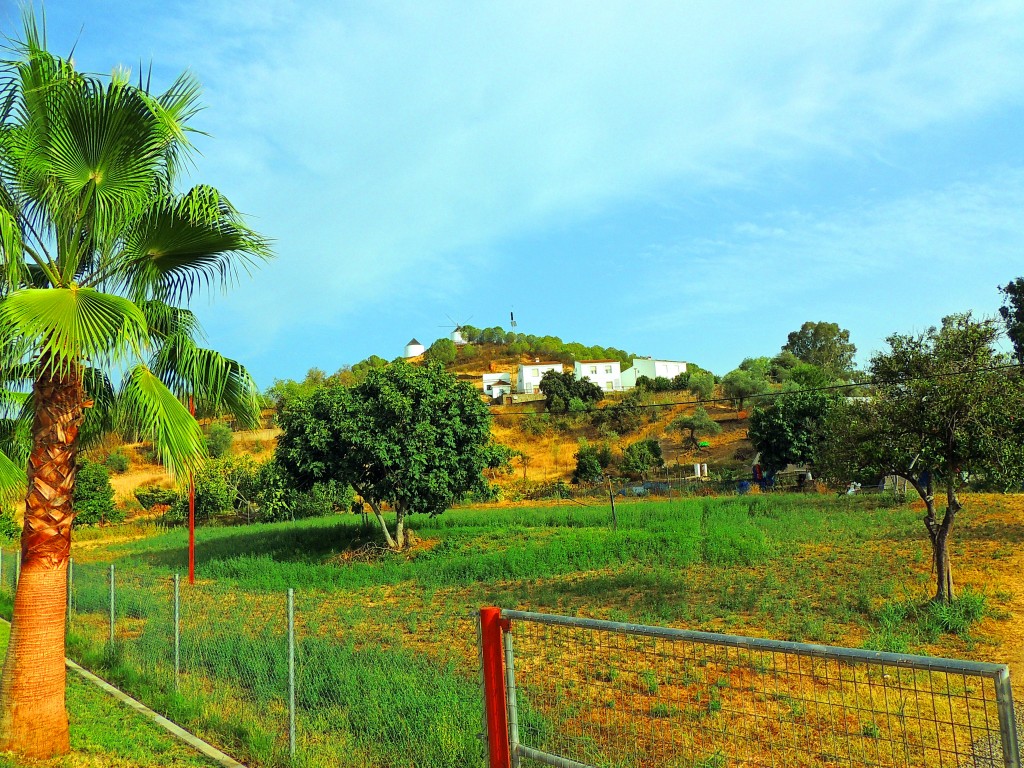Foto de Sanlucar de Guadiana (Huelva), España