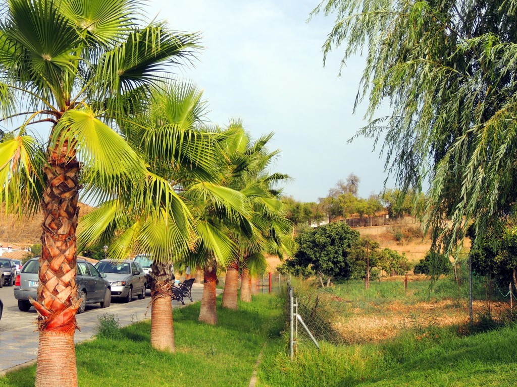 Foto de Sanlucar de Guadiana (Huelva), España