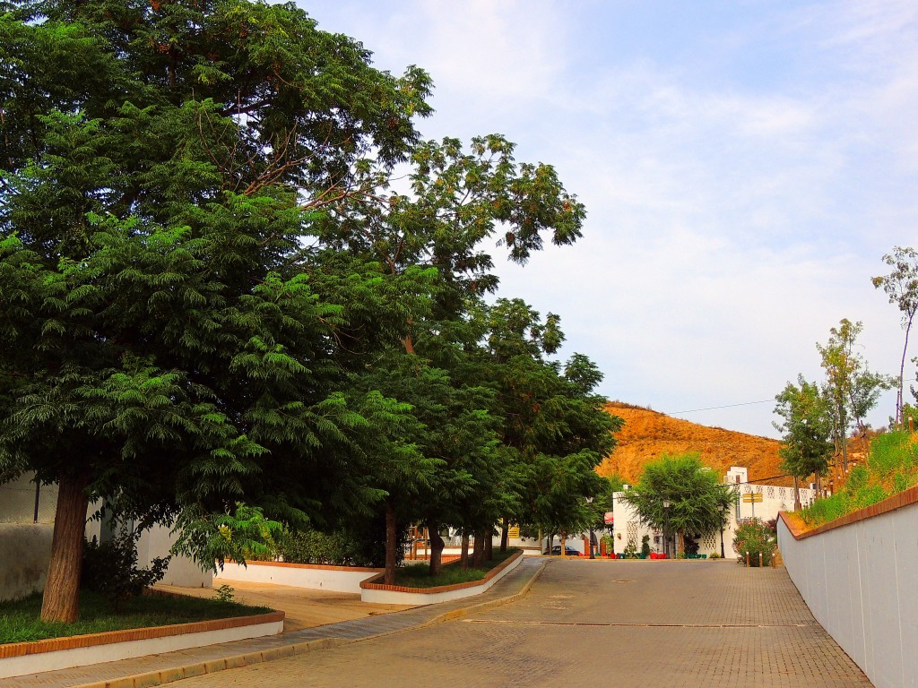 Foto de Sanlucar de Guadiana (Huelva), España