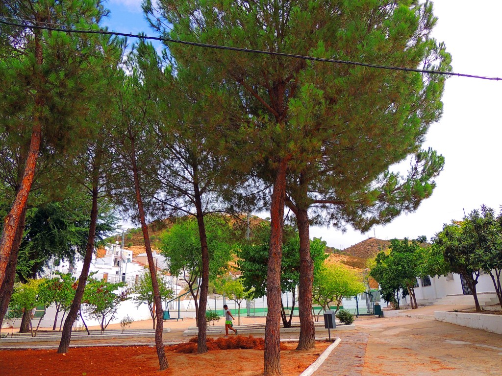 Foto de Sanlucar de Guadiana (Huelva), España