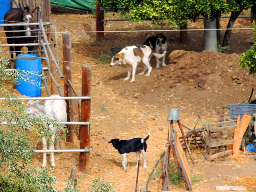 Foto de Sanlucar de Guadiana (Huelva), España
