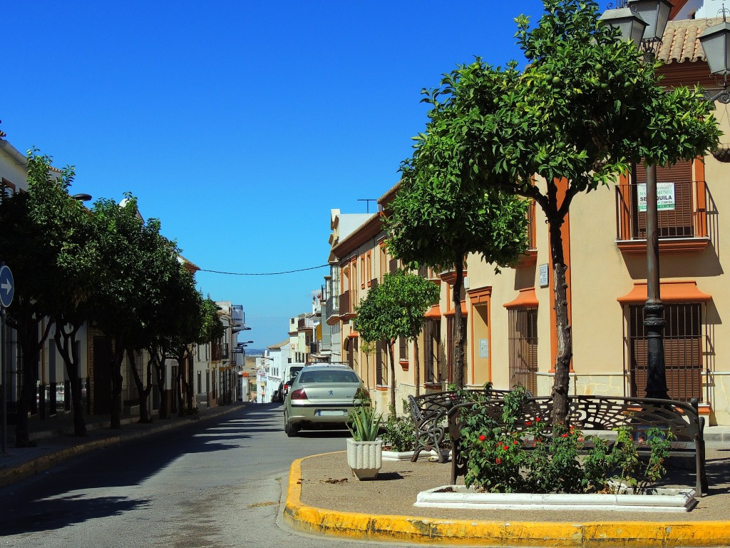 Foto de Las Cabezas de San Juan (Sevilla), España