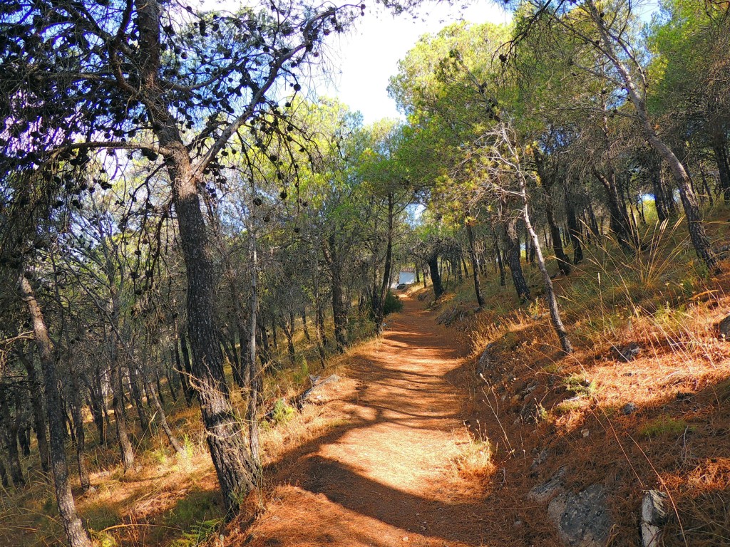 Foto de Carratraca (Málaga), España