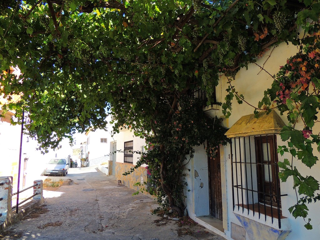 Foto de Carratraca (Málaga), España