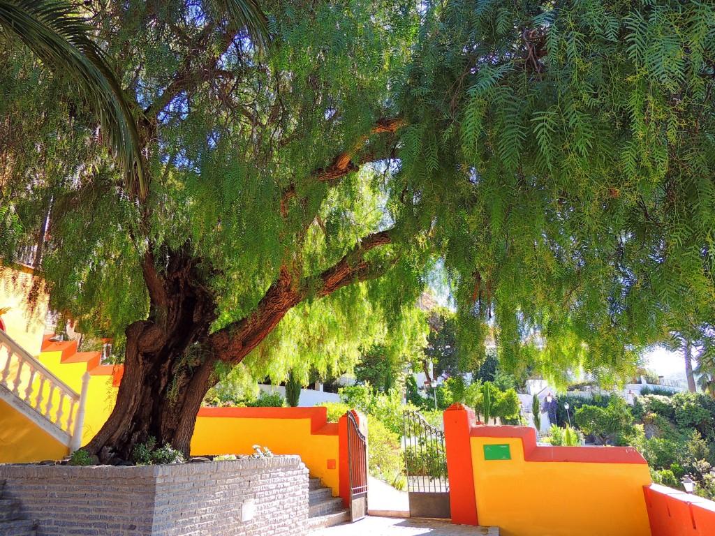 Foto de Carratraca (Málaga), España