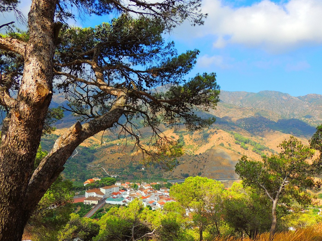 Foto de Carratraca (Málaga), España