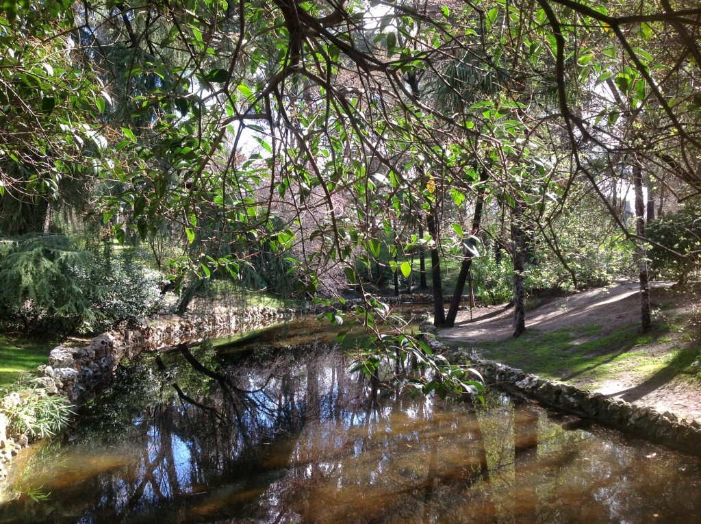 Foto de Madrid (Comunidad de Madrid), España