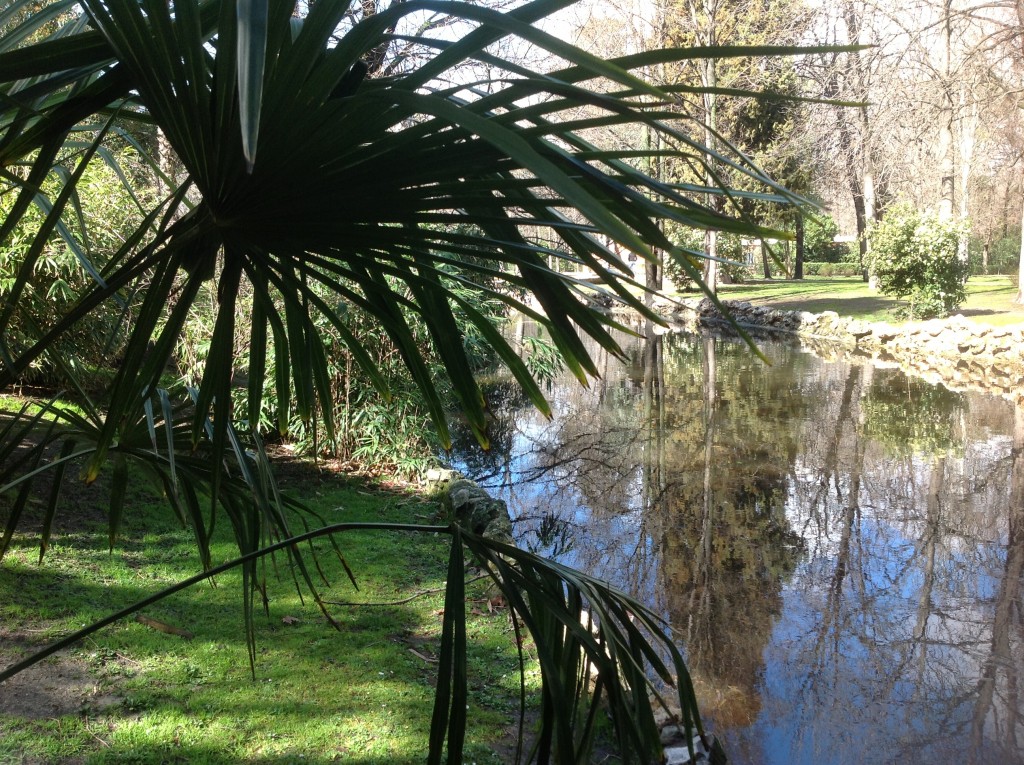 Foto de Madrid (Comunidad de Madrid), España