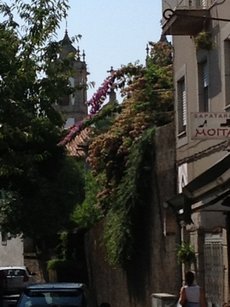 Foto de Viseu, Portugal